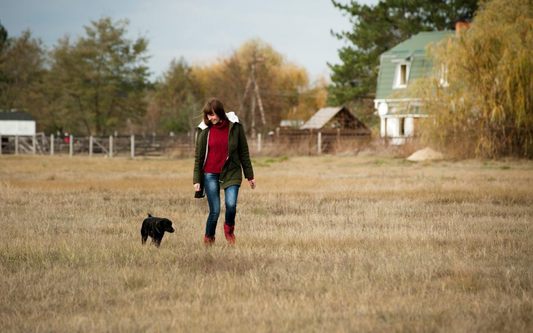 A person walking with a dog in the field.