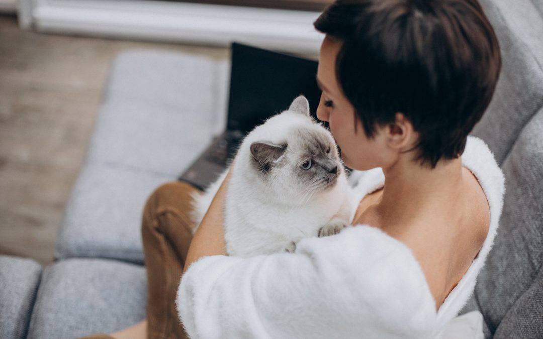 Woman holding pet cat and wonders what will happen to her pet when she leaves domestic abuse